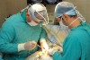«Уже до конца этого года первым нижегородским пациентам будут проведены высокотехнологичные операции по пересадке сердца в областном кардиоцентре»