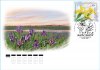 На Главпочтамт Нижнего Новгорода поступили марки и конверты «Флора России. Цветы»